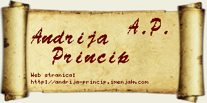 Andrija Princip vizit kartica